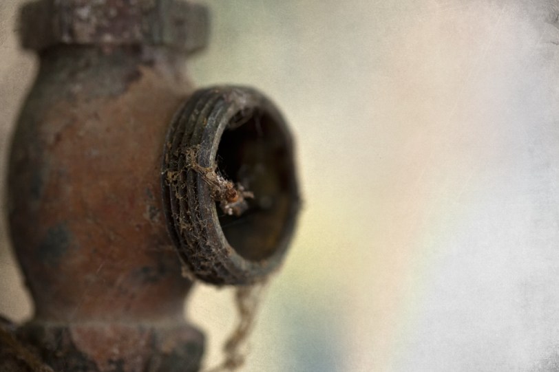 David Williams Photography Texture Thursday ~07.12.12~