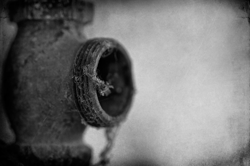 David Williams Photography Textured Thursday ~07.12.12~