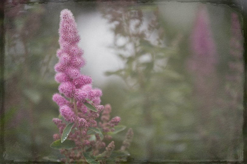 David Williams Photography Texture Thursday