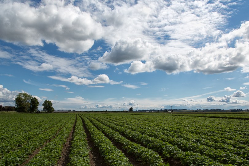 David Williams Photography Wordless Wednesday