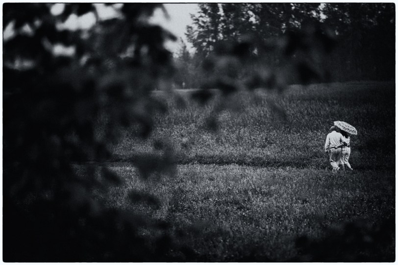 David Williams Photography Wordless Wednesday ~07.25.12~