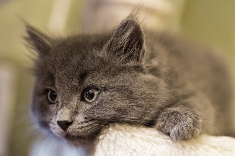 David Williams Photography Claudia