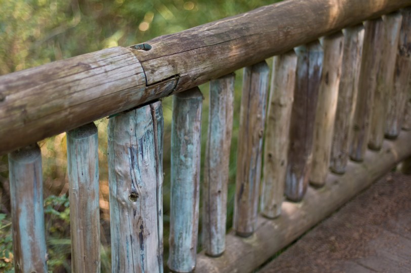 David Williams Photography Fenced Friday 08.03012