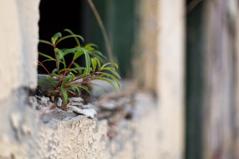 David Williams Photography Reach