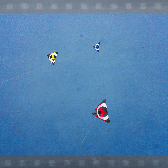 David Williams Photography Let's Go Fly A Kite