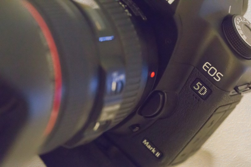 David Williams Photography Texture Thursday ~08.30.12~