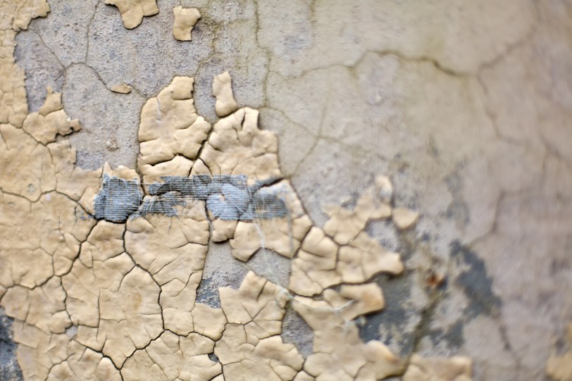 David Williams Photography Texture Thursday ~08.02.12~ v2