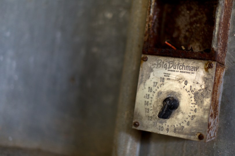 David Williams Photography 