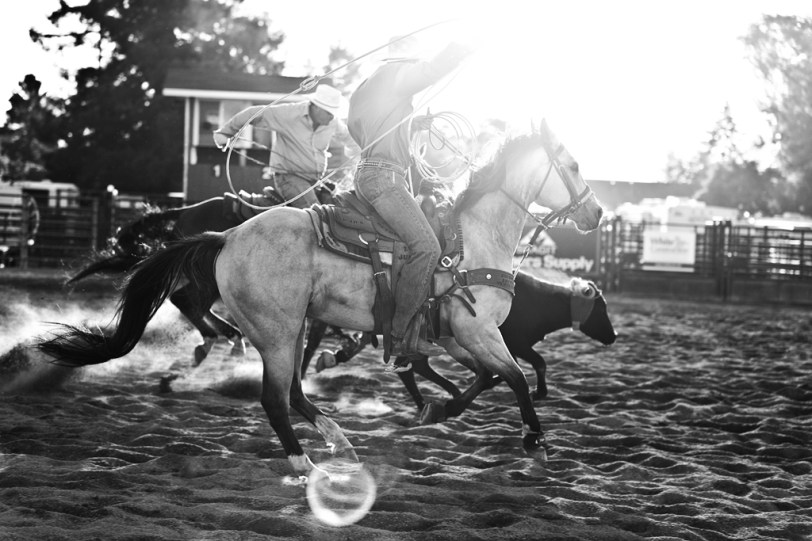 Wordless Wednesday ~08.22.12~ David Williams Photography Wordless Wednesday ~08.22.12~