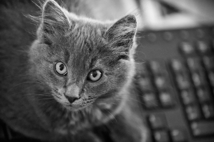 David Williams Photography Wordless Wednesday ~09.19.12~