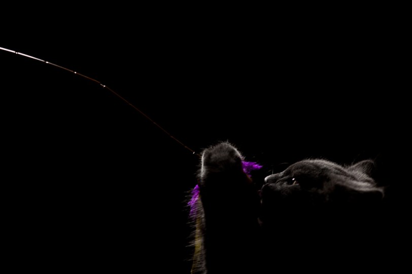 David Williams Photography Wordless Wednesday ~09.25.12~