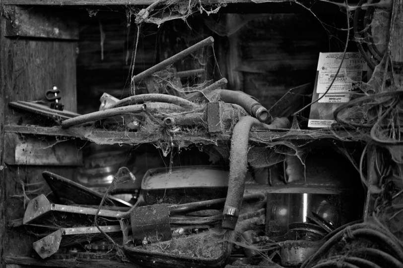 Cob Webs David Williams Photography Cob Webs