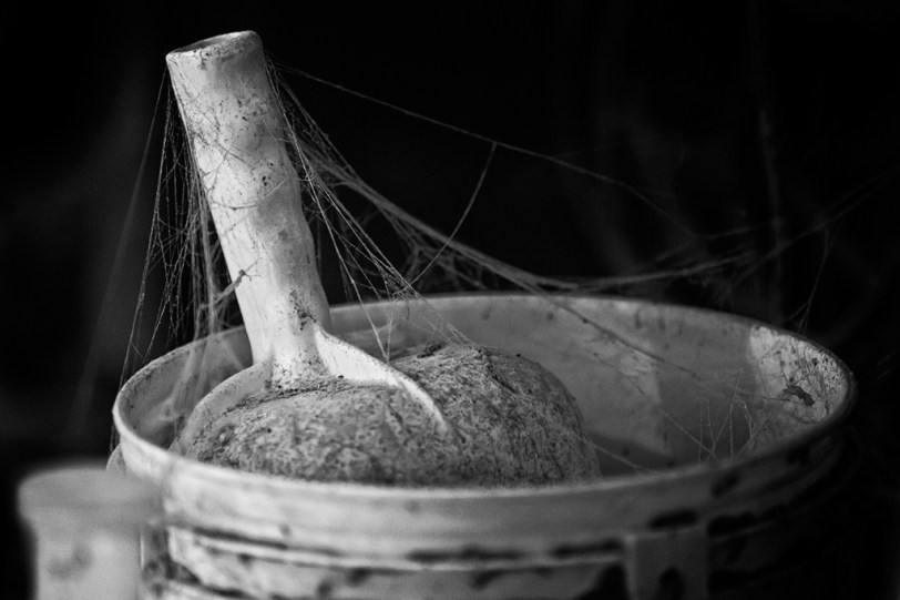 David Williams Photography Scooped Cob Webs