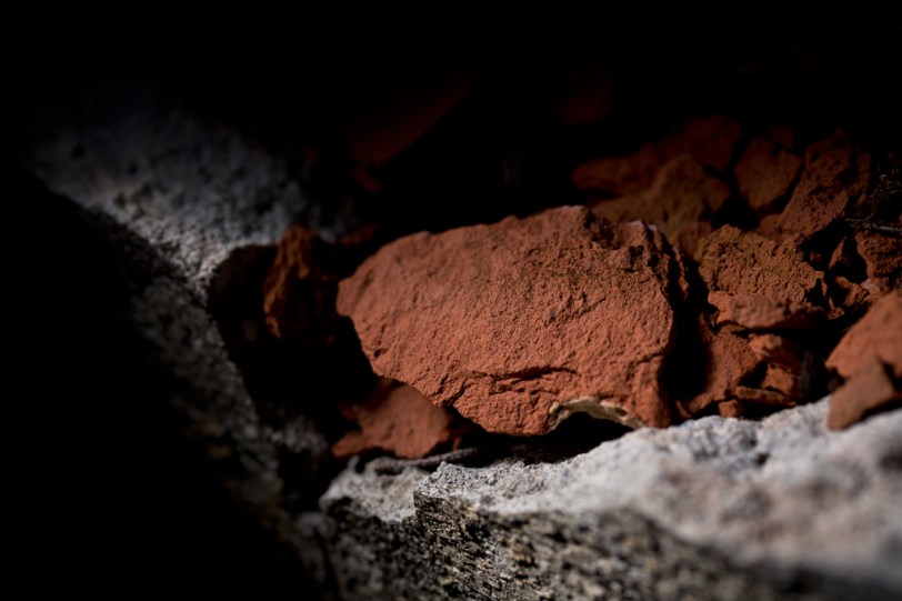 David Williams Photography Texture Thursday ~10.17.12~