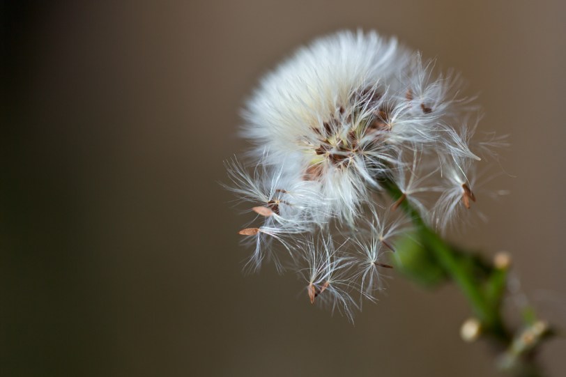 David Williams Photography Wordless Wednesday