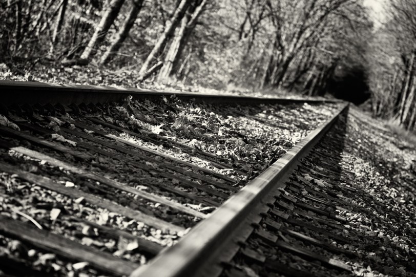 David Williams Photography Tracks