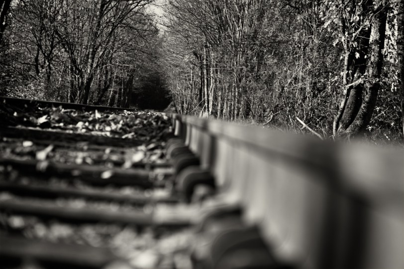 David Williams Photography