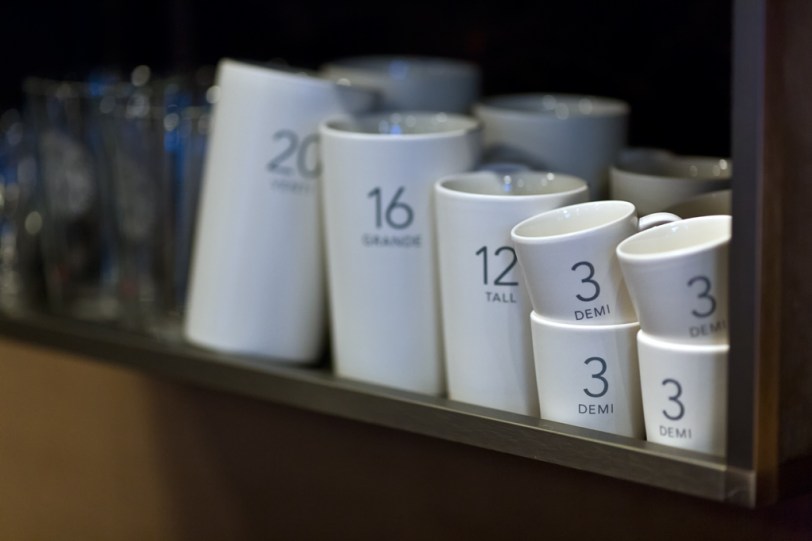 David Williams Photography 3 Demi