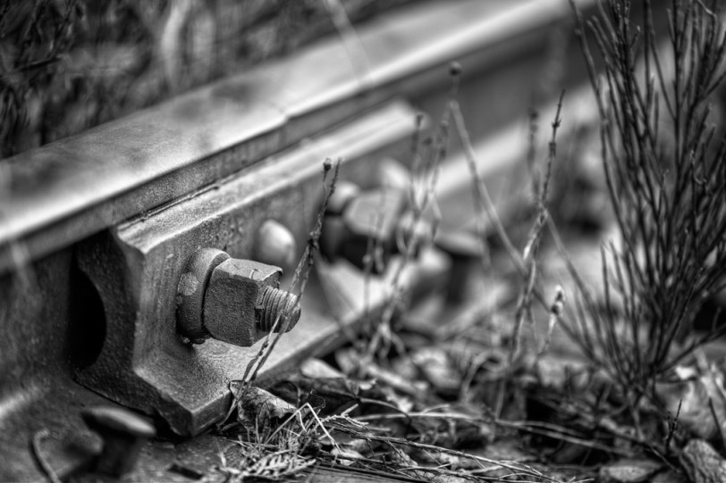 David Williams Photography Aww Nut