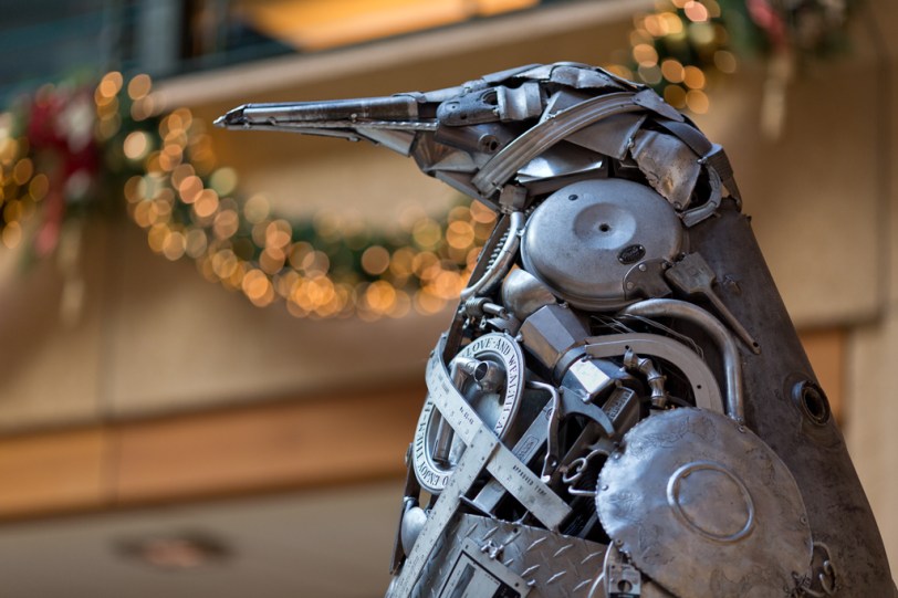 David Williams Photography