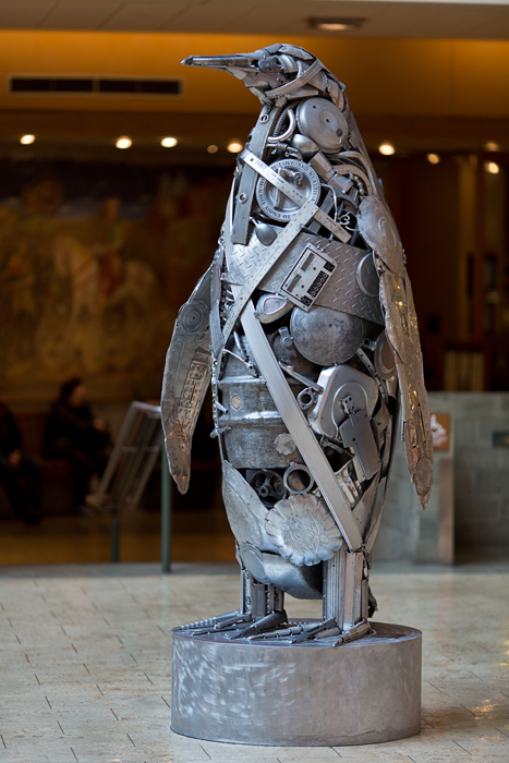 David Williams Photography 