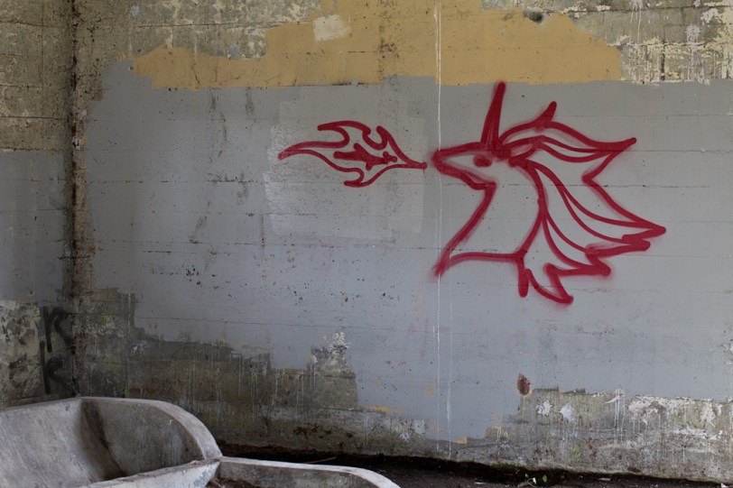 David Williams Photography