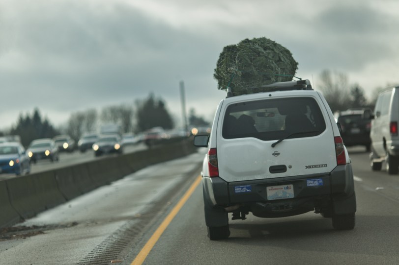 David Williams Photography 