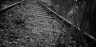 David Williams Photography The Forgotten Tracks