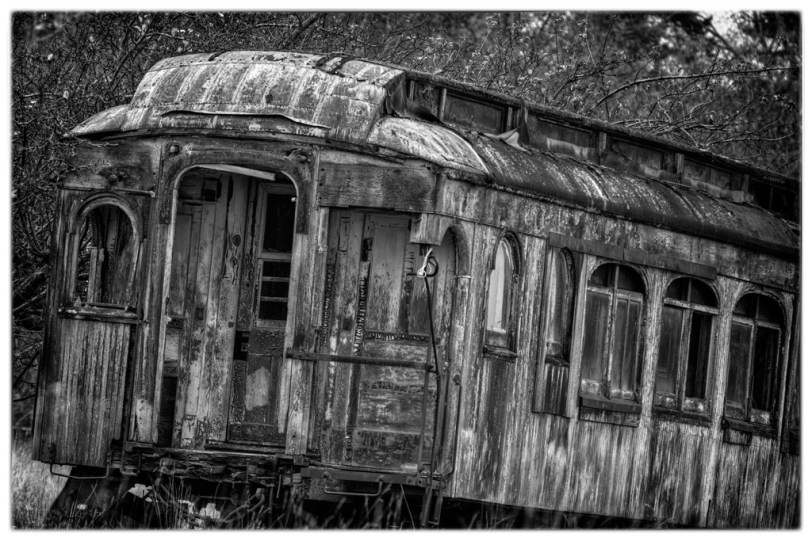 David Williams Photography