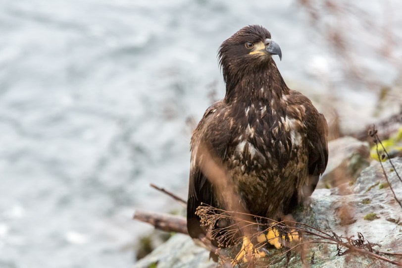 David Williams Photography Wordless Wednesday ~01.16.13~