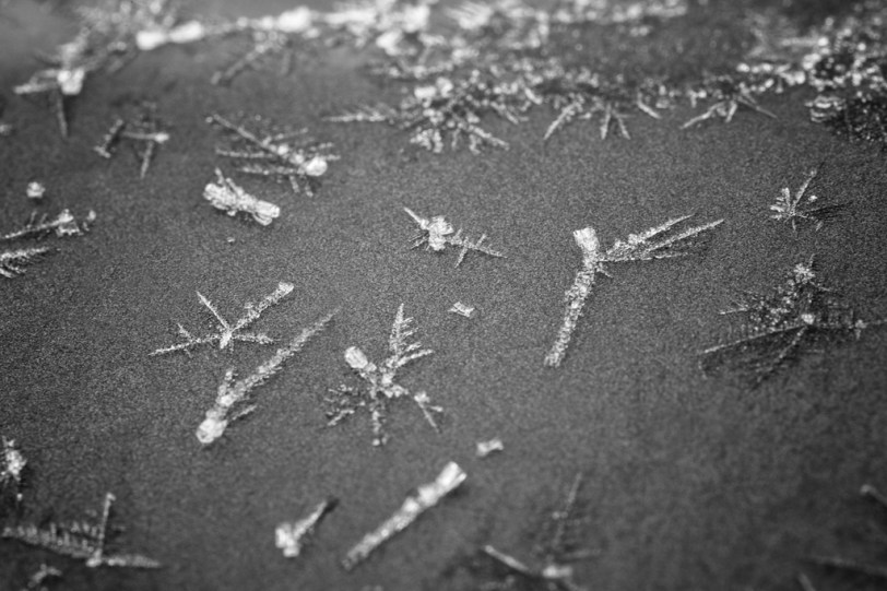 David Williams Photography Ice Faerie