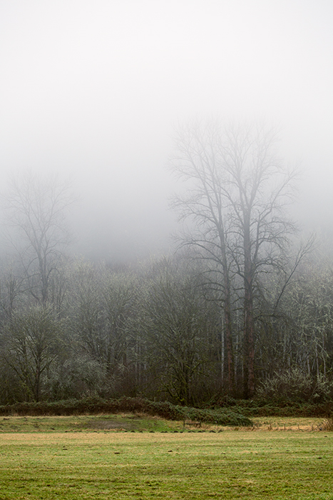 David Williams Photography Into The Fog Colour