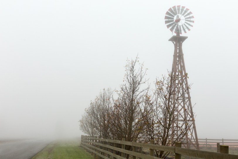 David Williams Photography One Foggy Morning