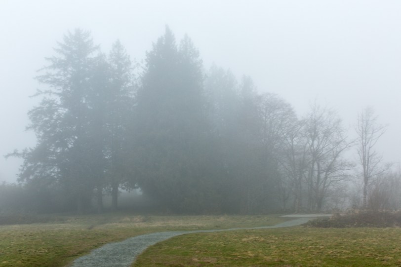 David Williams Photography Pathway