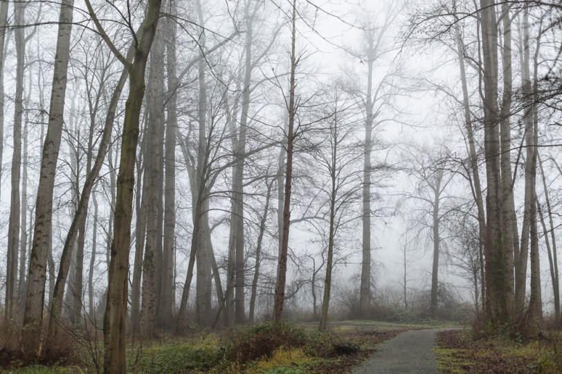 David Williams Photography Wordless Wednesday ~01.02.013~