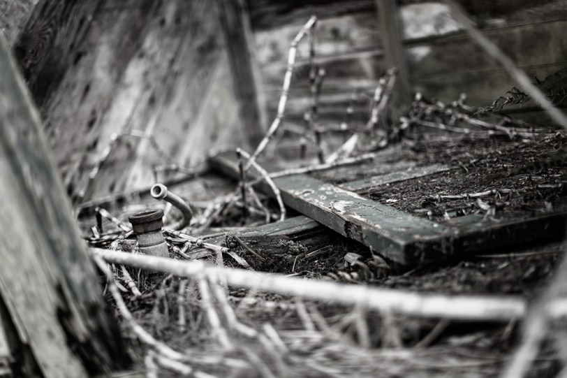 David Williams Photography aDoor