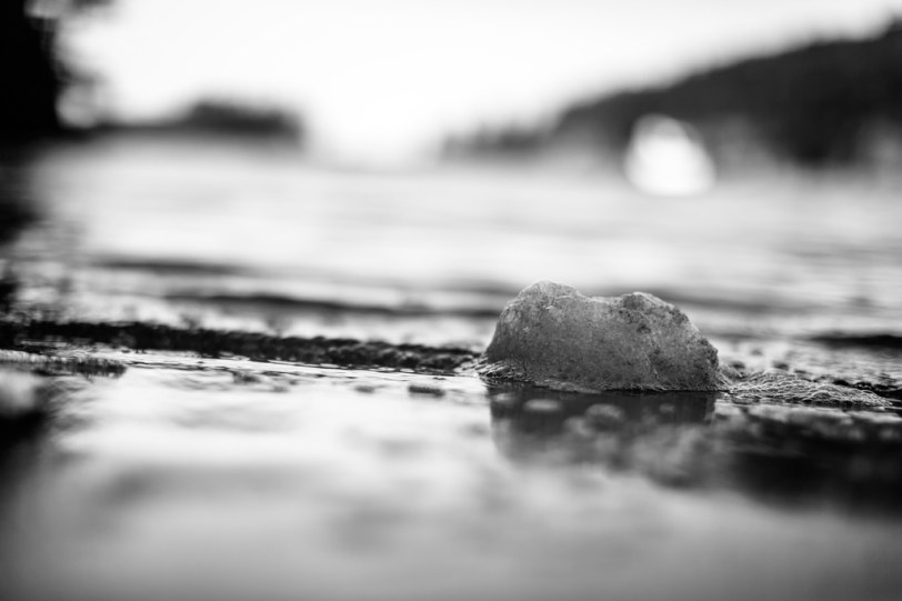 David Williams Photography It Came From The Deep