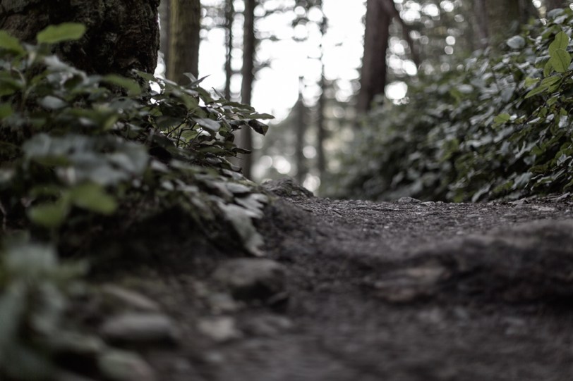 David Williams Photography Trails