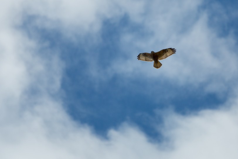 David Williams Photography Wordless Wednesday ~03.20.13~