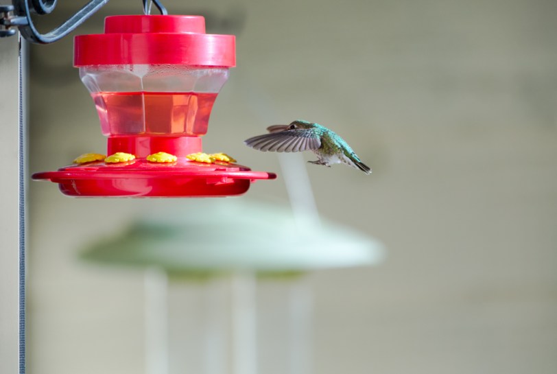 David Williams Photography Prepare For Landing