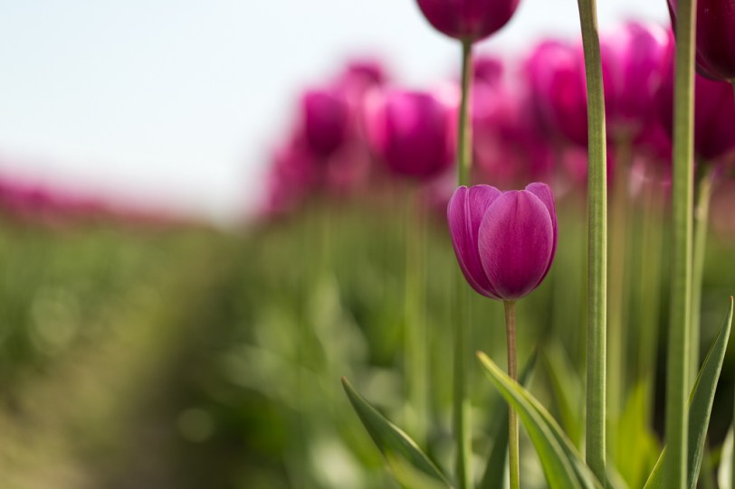 David Williams Photography The Little Guy