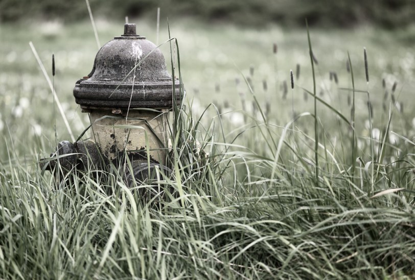 David Williams Photography The Forgotten