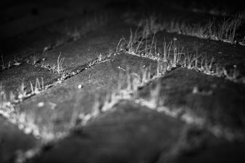 David Williams Photography Pattern2