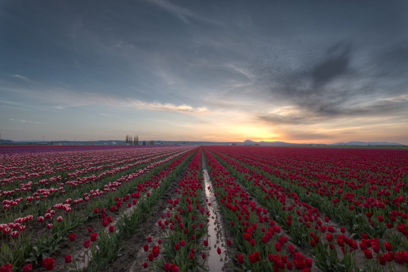 David Williams Photography Sunset