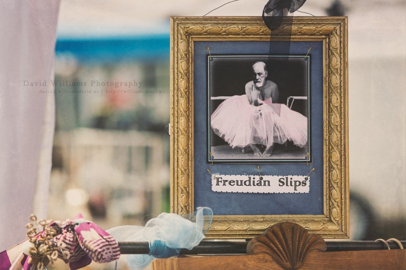 David Williams Photography Freudian Slips