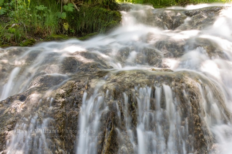 David Williams Photography Smooth