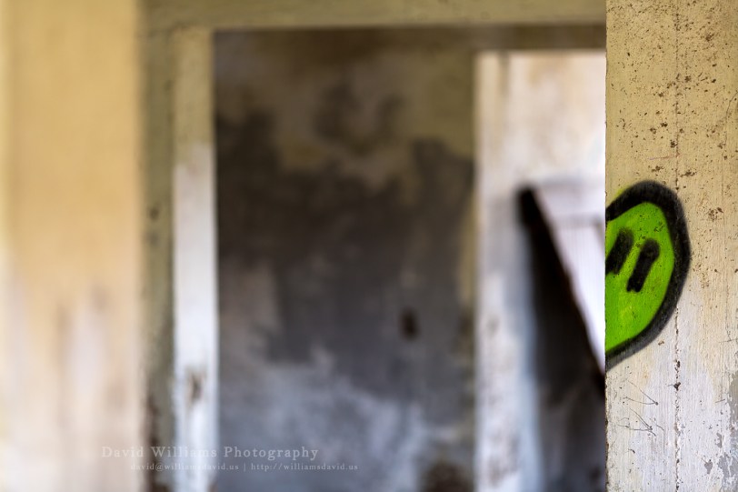 David Williams Photography Peek-A-Boo