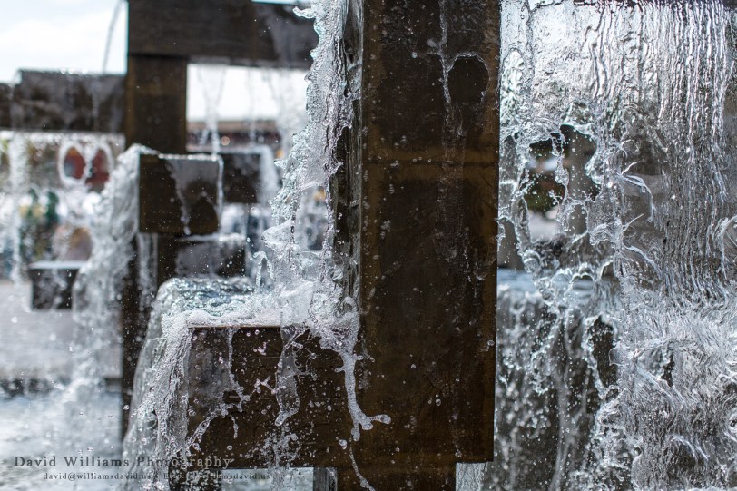 David Williams Photography Splash