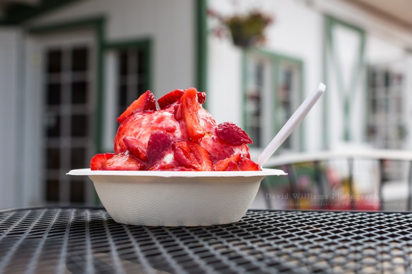 David Williams Photography Strawberry Shortcake