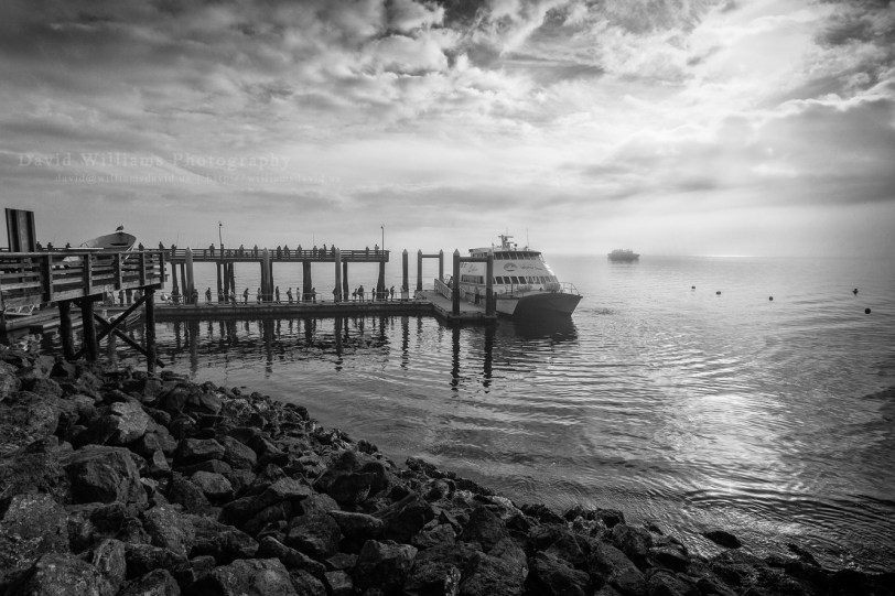 David Williams Photography water taxi